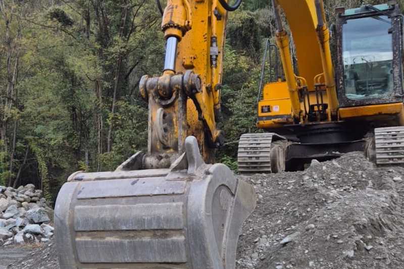 OmecoHub - Immagine JCB JS200N